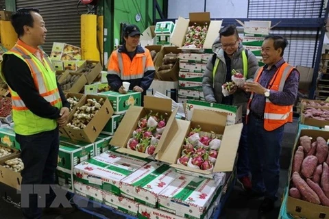Les exportations de fruits et légumes ont chuté de 9,3% au premier trimestre