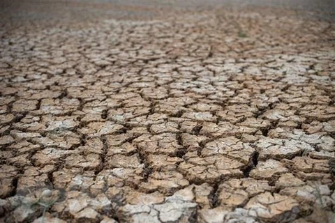 Le delta du Mékong sera confronté à une salinité plus sévère et à des sécheresses