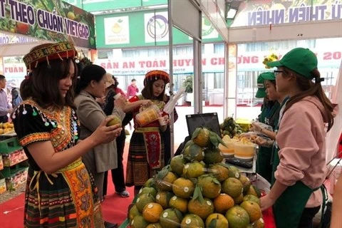Bientôt la Semaine des oranges de Hà Giang à Hanoï