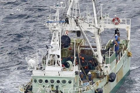 Cinq marins vietnamiens portés disparus après le naufrage d'un cargo au large du Japon