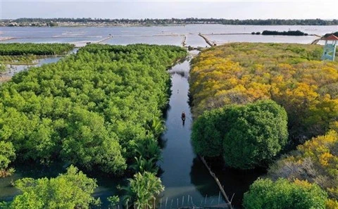 Vietnam, un des pays les plus riches en biodiversité