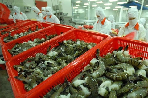 Croissance des exportations nationales de crevettes en Corée du Sud