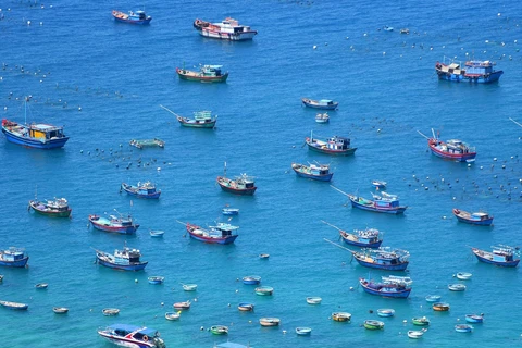 Le Vietnam va dépenser 2.500 milliards de dongs pour une enquête sur l'environnement marin