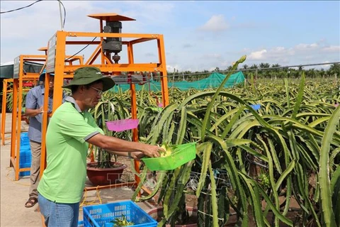 Deux localités de Tien Giang satisfont aux normes de la Nouvelle Ruralité