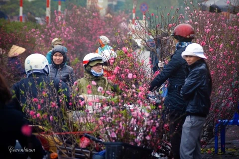 CNN : Le marché aux fleurs de Quang Ba, une destination à ne pas manquer à l’occasion du Têt