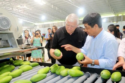 Les exportations de fruits et légumes en baisse de 9,9% sur deux mois