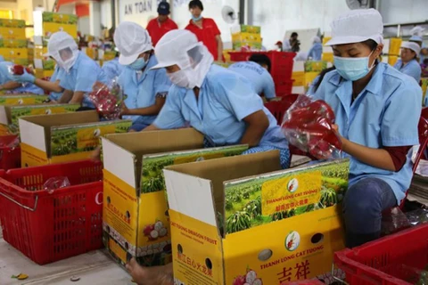 Promouvoir des chaînes de production de produits agricoles destinés aux exportations en Chine