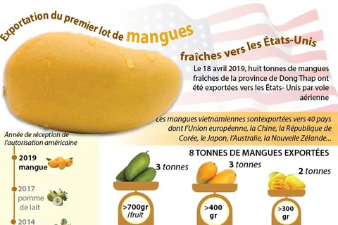 Exportation du premier lot de mangues fraîches vietnamiennes aux États-Unis
