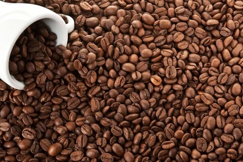 Plus de 1,3 milliard de dollars d'exportations de café en cinq mois