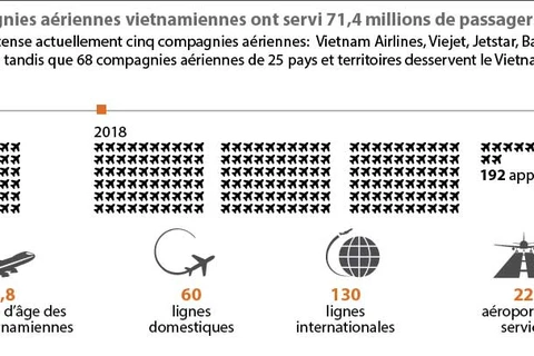 Les compagnies aériennes vietnamiennes ont servi 71,4 millions de passagers en 2018