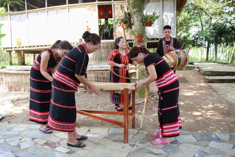Des instruments de musique typiques des ethnies minoritaire du Tây Nguyên