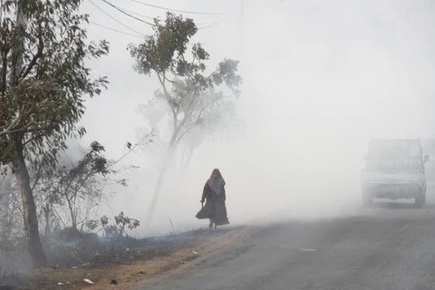 Indonésie: Plus de 39.000 personnes touchées par une brume de fumée 