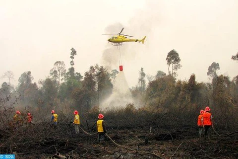 Les feux de forêt en Indonésie étouffent la Malaisie et Singapour