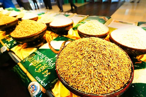 Le Cambodge exporte pour 264 millions de dollars de riz en six mois