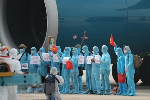 Emotions à bord du vol rapatriant des citoyens vietnamiens de Guinée équatoriale