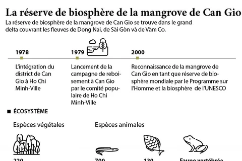 La réserve de biosphère de la mangrove de Can Gio