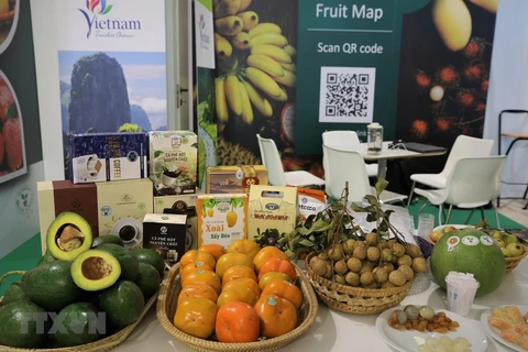 Des fruits du Vietnam présentés au salon Macfrut 2021 en Italie