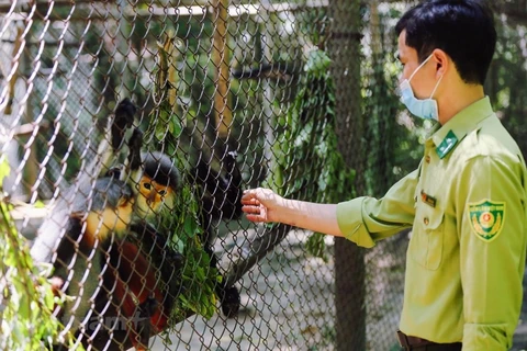 Centre de sauvetage et de conservation des espèces sauvages précieuses de Cuc Phuong