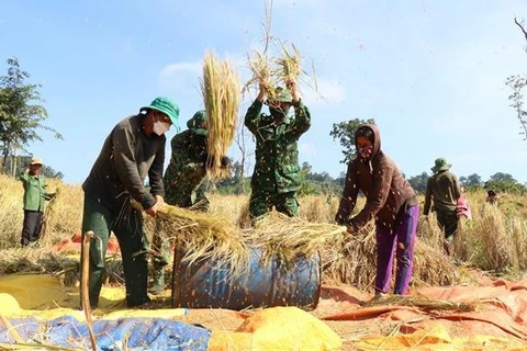 Solidarité entre des gardes-frontières et ethnies minoritaires de Tay Nguyen