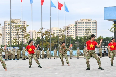 Démonstration d’arts martiaux de casques bleus vietnamiens 