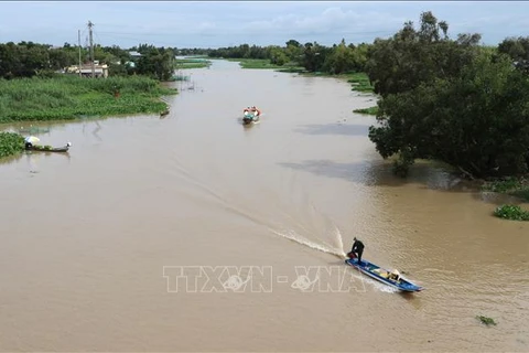 Le delta du Mékong fait face à une intrusion d'eau salée 
