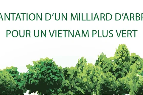 Plantation d’un milliard d’arbres pour un vietnam plus vert