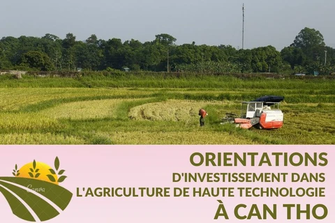 Orientations d'investissement dans l'agriculture de haute technologie à CanTho