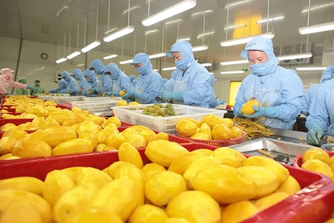 Filière des fruits et légumes: baisse des exportations, hausse des importations