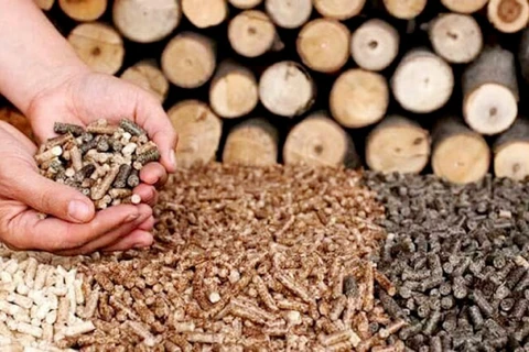 Les exportations de granulés de bois, opportunités et défis