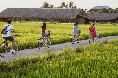 Hanoï promeut le développement de l’agritourisme et du tourisme rural