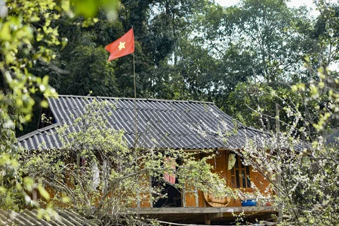  Le "paradis blanc" au village de Phieng Bang, à Dien Bien (29/2)