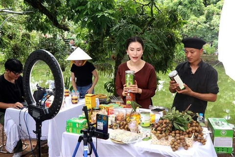 Les produits agricoles de Hung Yên font leur promotion sur Tiktok