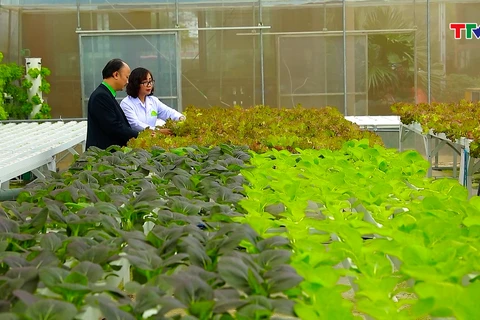 Thanh Hoa renforce l’application de la science et de la technologie dans la production agricole