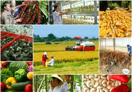 L’agriculture exporte plus de 32 milliards d’USD de produits en 2016