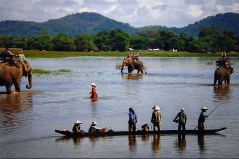 Les experts prennent la défense de l’éléphant au Vietnam