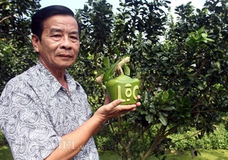 Dans le delta du Mékong, des fruits stylisés pour le Têt 