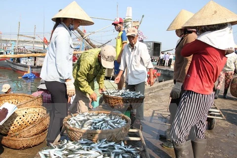 A Quang Tri, les pêcheurs sinistrés reçoient des indemnités avant le Têt