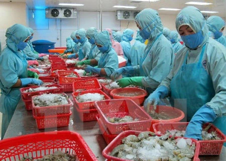 Le Vietnam table sur 10 mds de dollars d’exportations de crevettes