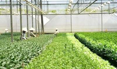 Le Vietnam cherche à stimuler les investissements dans l’agriculture