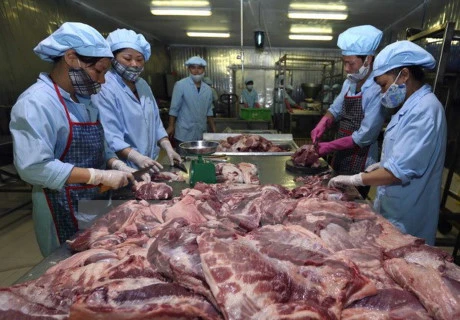 Filière porcine : le Vietnam s’intéresse aux expériences danoises