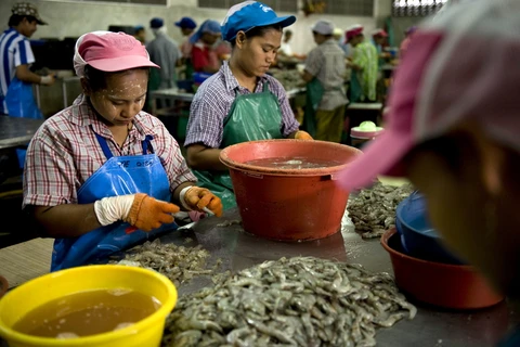 La Thaïlande durcit les règles contre les travailleurs étrangers en situation irrégulière