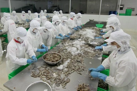 La crevette crue non décortiquée vietnamienne accéderait au marché australien