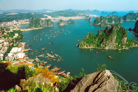 Alliance pour protéger la baie de Ha Long et l’archipel de Cat Bà