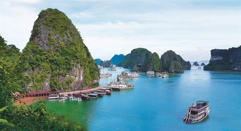 Baie de Ha Long : arrêt de la pêche dans la zone centrale