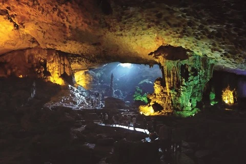 À la découverte de la grotte de Dâu Gô dans la baie de Ha Long