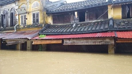 Aide américaine pour le Vietnam à remédier aux conséquences du typhon Damrey