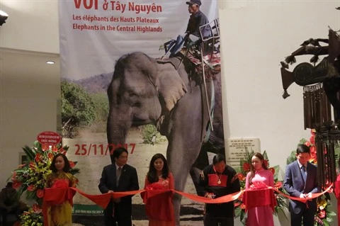 Les éléphants des Hauts Plateaux du Centre stars d’une exposition à Hanoi