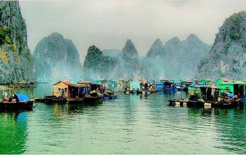 Environ 1.700 milliards de dongs pour préserver les villages de pêcheurs de la baie d'Ha Long