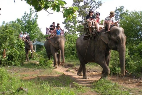 L’éco-bénévolat au secours des animaux sauvages à Dak Lak