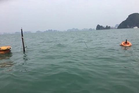 Un bateau coule à Quang Ninh, 31 touristes chinois sauvés